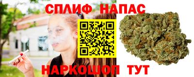 Альфа ПВП Ливны