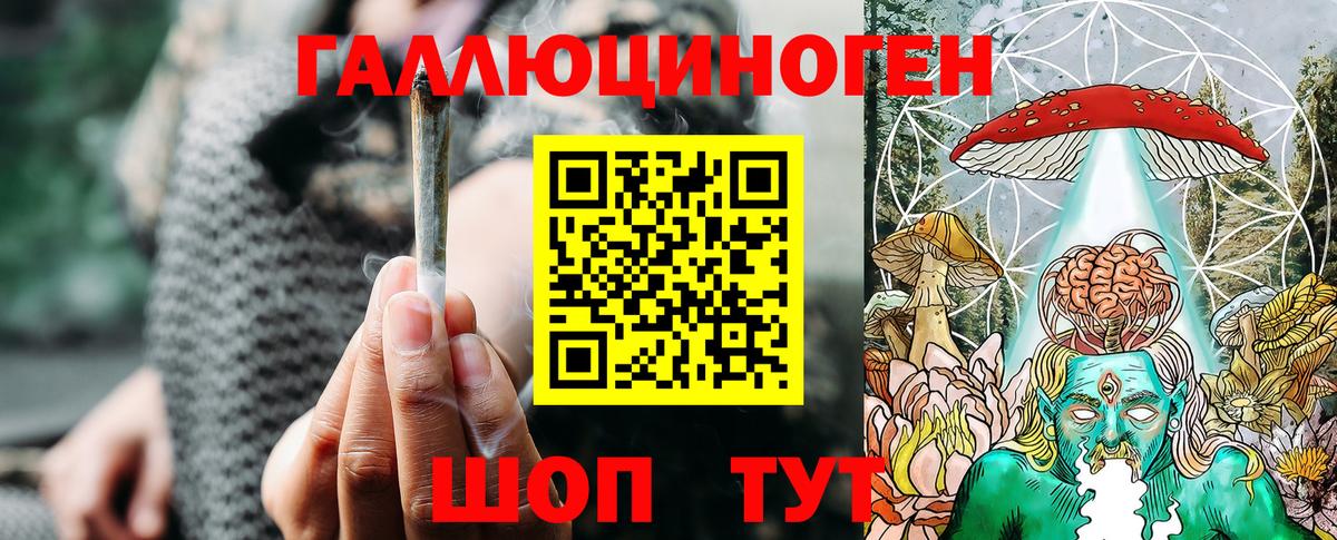 Псилоцибиновые грибы Psilocybine cubensis Домодедово