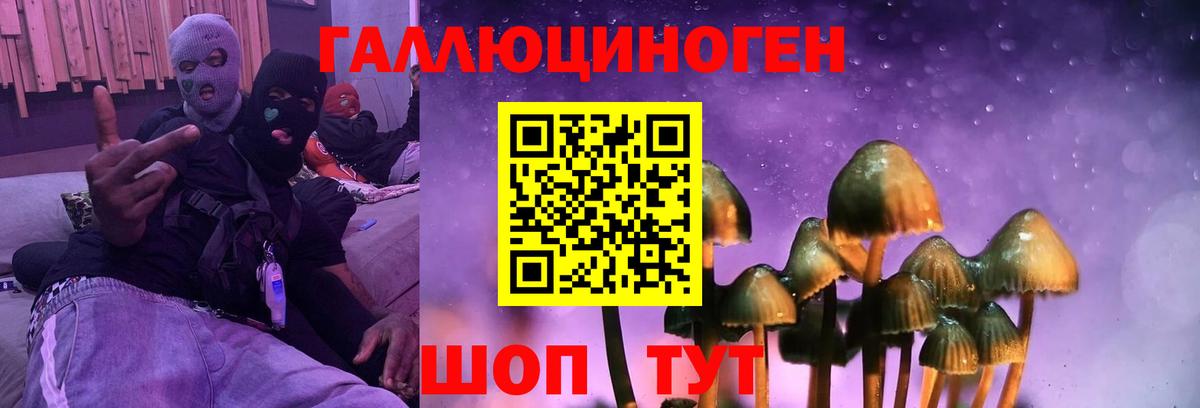 Галлюциногенные грибы MAGIC MUSHROOMS  магазин  наркотиков  Домодедово  Вход с VPN 